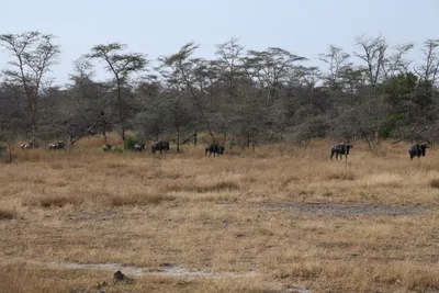 DSC_3411 (Large).JPG